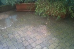 IMG00921-20130307-1025
